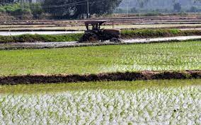 तमिलनाडु सरकार ने एकीकृत कृषि विकास योजना शुरू की