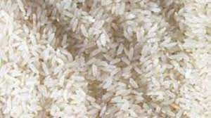 भारत का गैर-बासमती चावल निर्यात 2013-14 के बाद से 109% बढ़ा