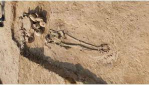 हरियाणा की सिंधु घाटी स्थल राखी में 5000 साल पुरानी ज्वैलरी फैक्ट्री जड़ से खत्म गढ़ी