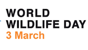 विश्व वन्यजीव दिवस 2022: 03 मार्च