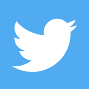 ट्विटर सीमित अवधि के शेयरधारक अधिकारों को अपनाता है