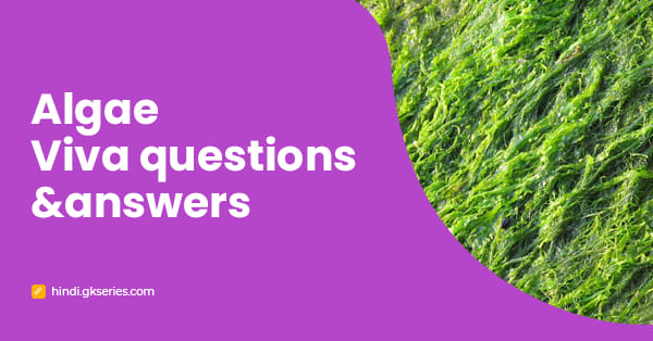 Algae Viva questions and answers