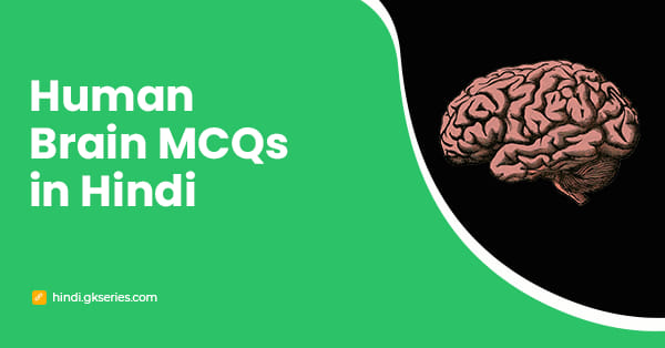 Human Brain MCQs in Hindi
