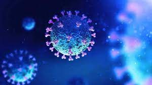 WHO ने जारी की फंगल संक्रमण की अब तक की पहली सूची, वैश्विक स्वास्थ्य खतरे की चेतावनी